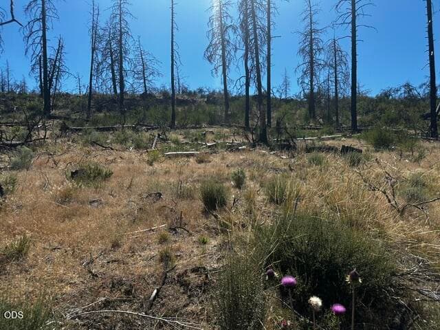 IMG_0261. Photo 5 of 6, 0 Wren Drive Unit Lot 5, Bonanza, OR 97623