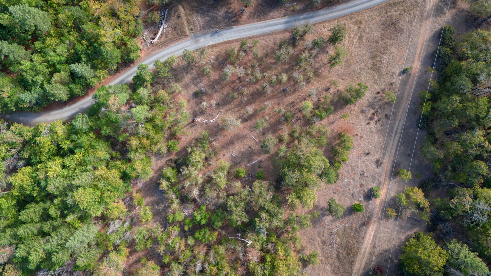 4-DJI_20251008153110_0010_D. Photo 1 of 17, 6715 Westside Road, Cave Junction, OR 97523