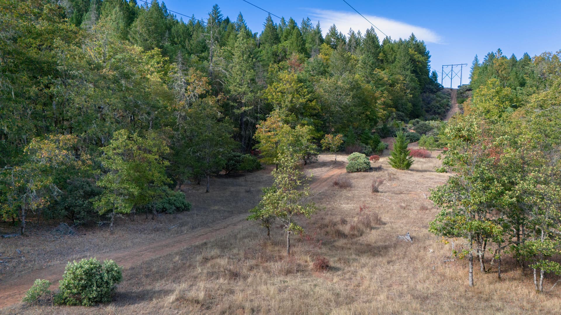 5-DJI_20251008153730_0019_D. Photo 2 of 17, 6715 Westside Road, Cave Junction, OR 97523