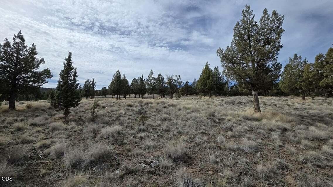 20260320170111419339000000-o. Photo 4 of 9, 6648 SE Night Hawk Drive, Prineville, OR 97754