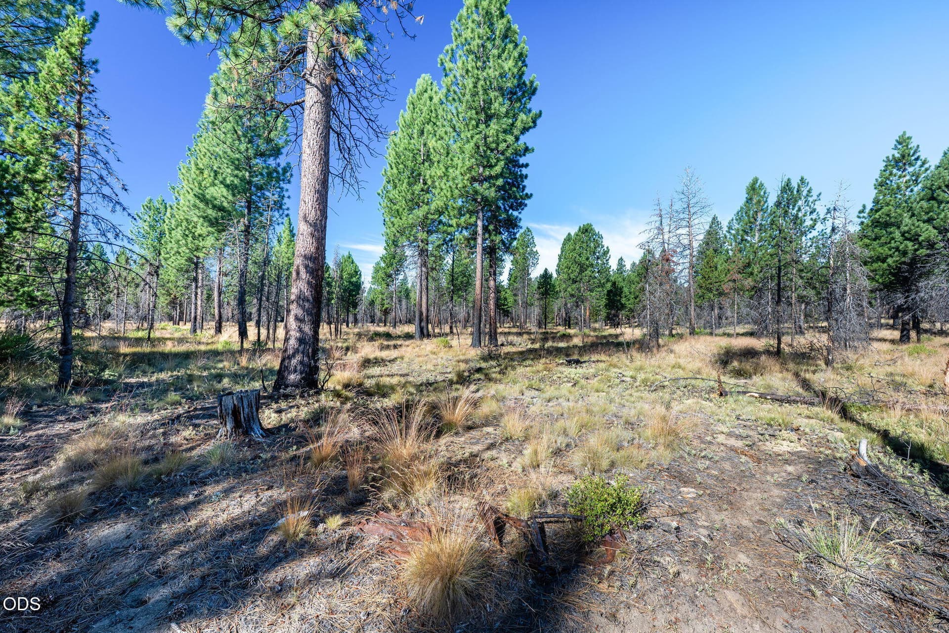 56247-Stellar-Dr-Bend-OR-97707-106. Photo 4 of 14, 56247 Stellar Drive, Bend, OR 97707