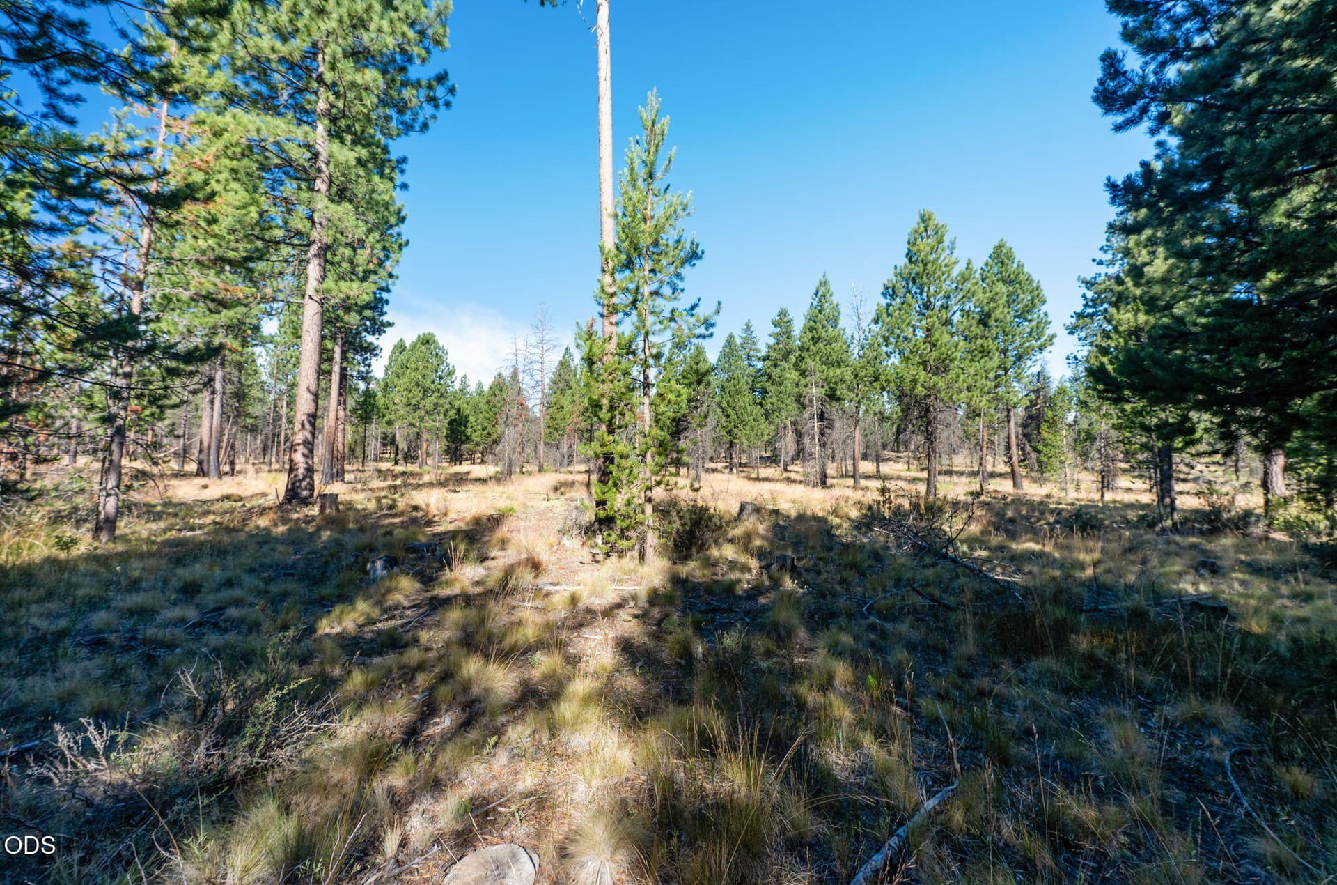 56247-Stellar-Dr-Bend-OR-97707-105. Photo 5 of 14, 56247 Stellar Drive, Bend, OR 97707