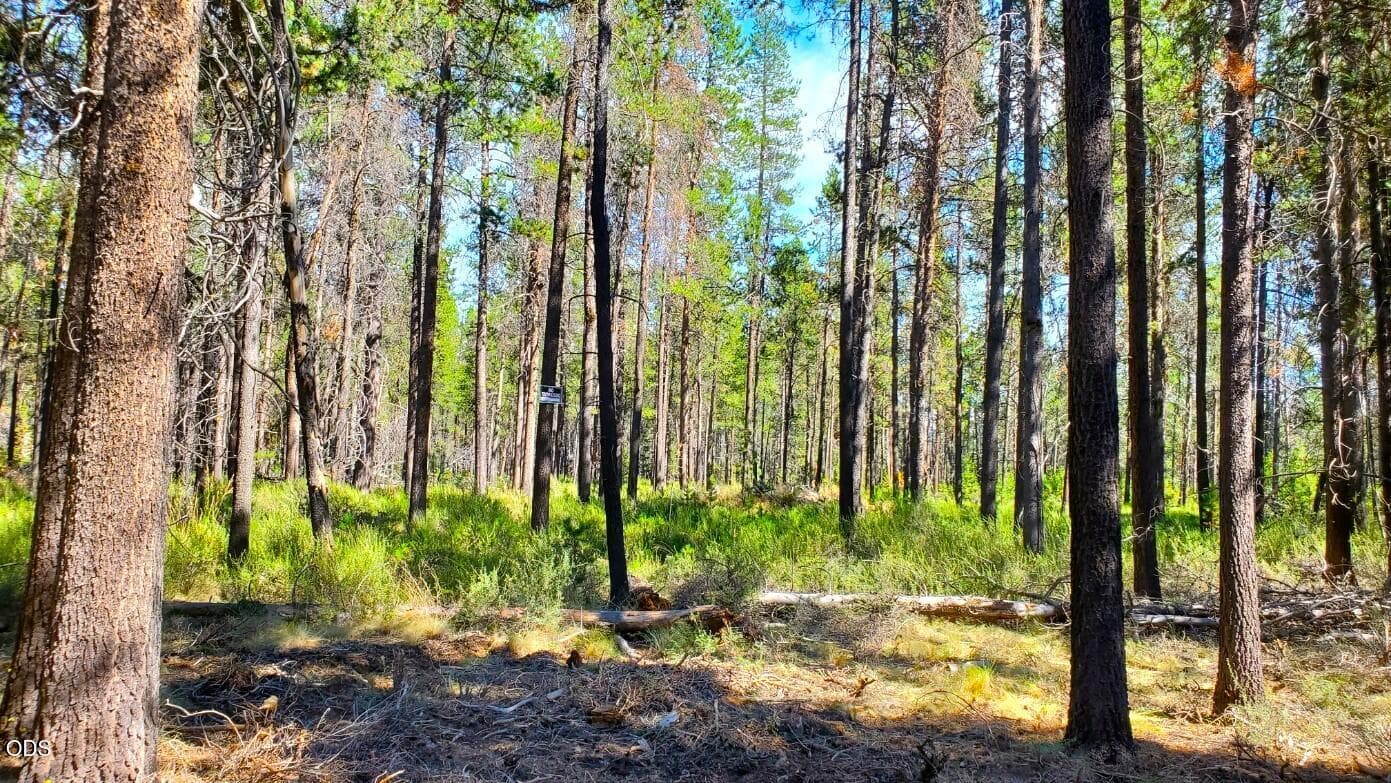 back of lot. Photo 4 of 21, 55618 Snow Goose Road, Bend, OR 97707