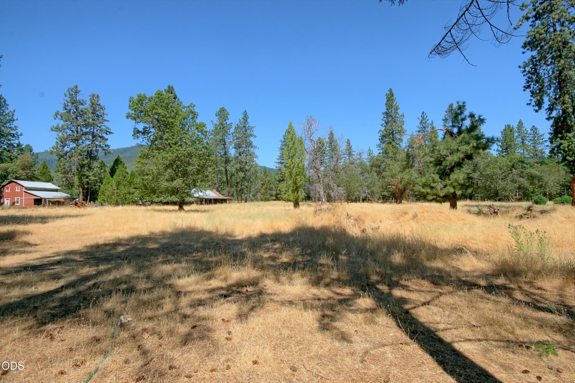 back pasture area. Photo 4 of 20, 1820 Powell Creek Road, Williams, OR 97544
