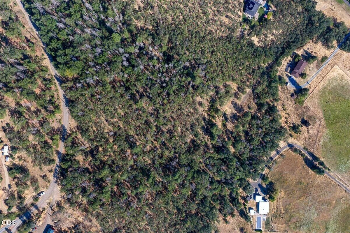 05-DJI_20260804091228_0004_D. Photo 5 of 22, 4334 Clayton Road, Ashland, OR 97520