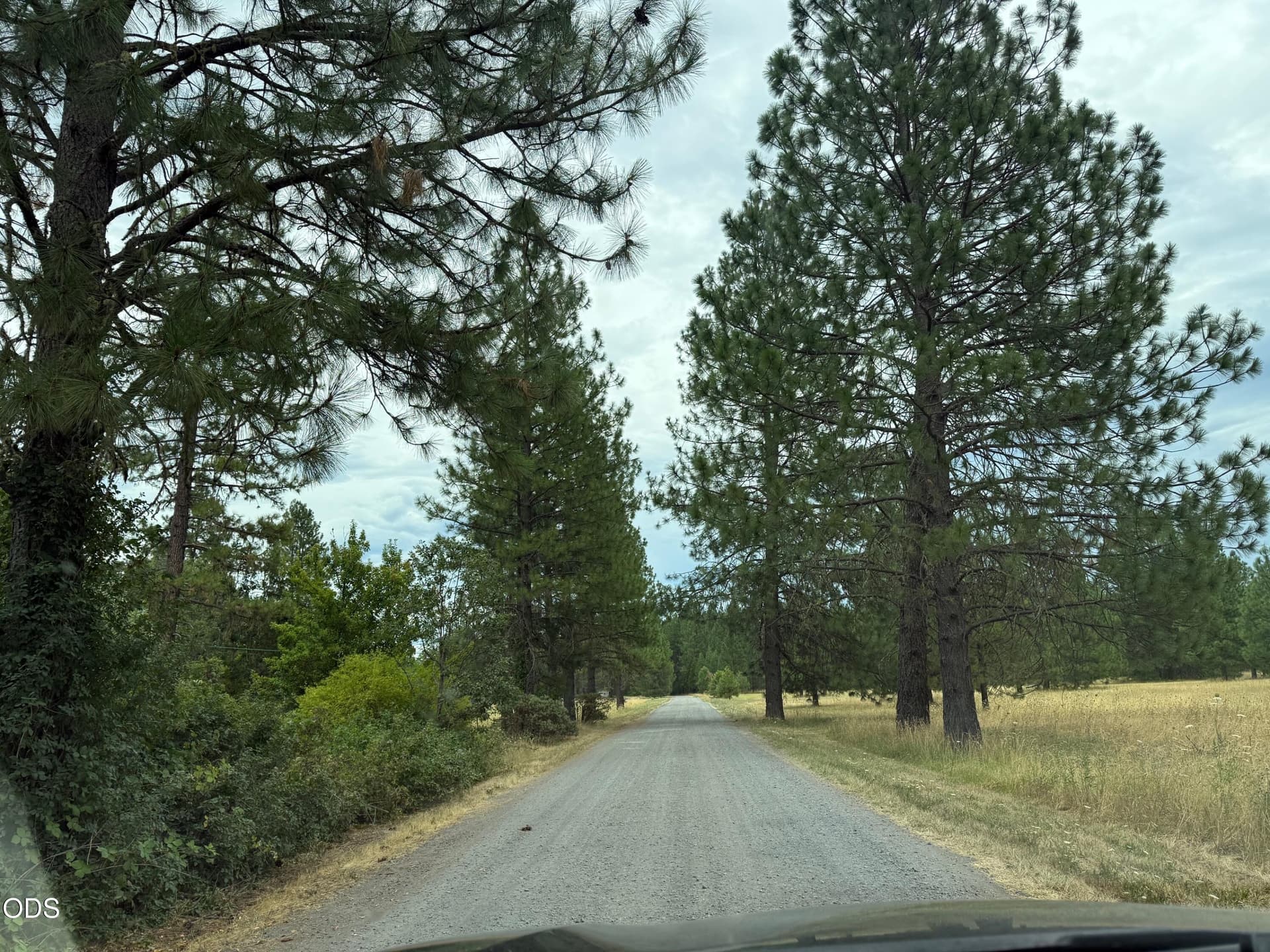 County road leading to prop.. Photo 1 of 12, 0 Piller Place Unit 922, Cave Junction, OR 97523