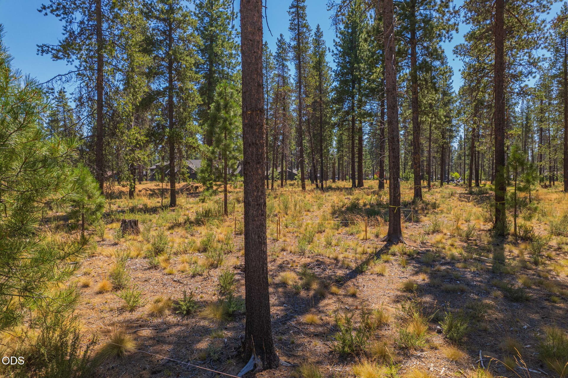 Treed Lot. Photo 2 of 15, 17736 Preservation Lp, Bend, OR 97707