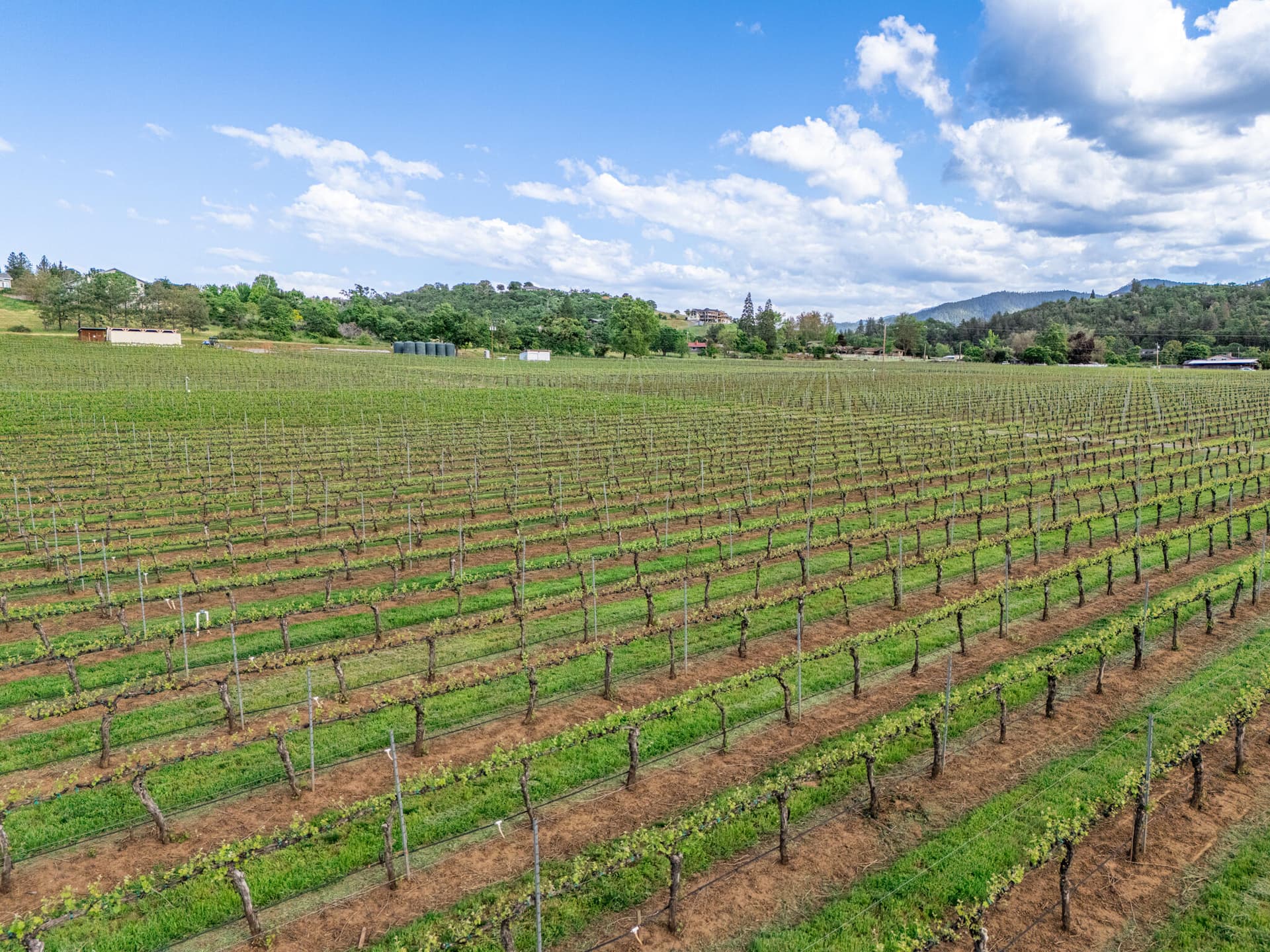 Vineyard. Photo 3 of 22, 2871 Griffin Creek Road, Medford, OR 97501