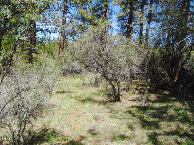 20260805183806790256000000-o. Photo 2 of 22, 0 Jaguar Lane Unit 29, Bonanza, OR 97623