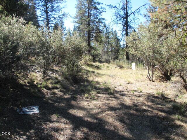 20260805183806905484000000-o. Photo 4 of 22, 0 Jaguar Lane Unit 29, Bonanza, OR 97623