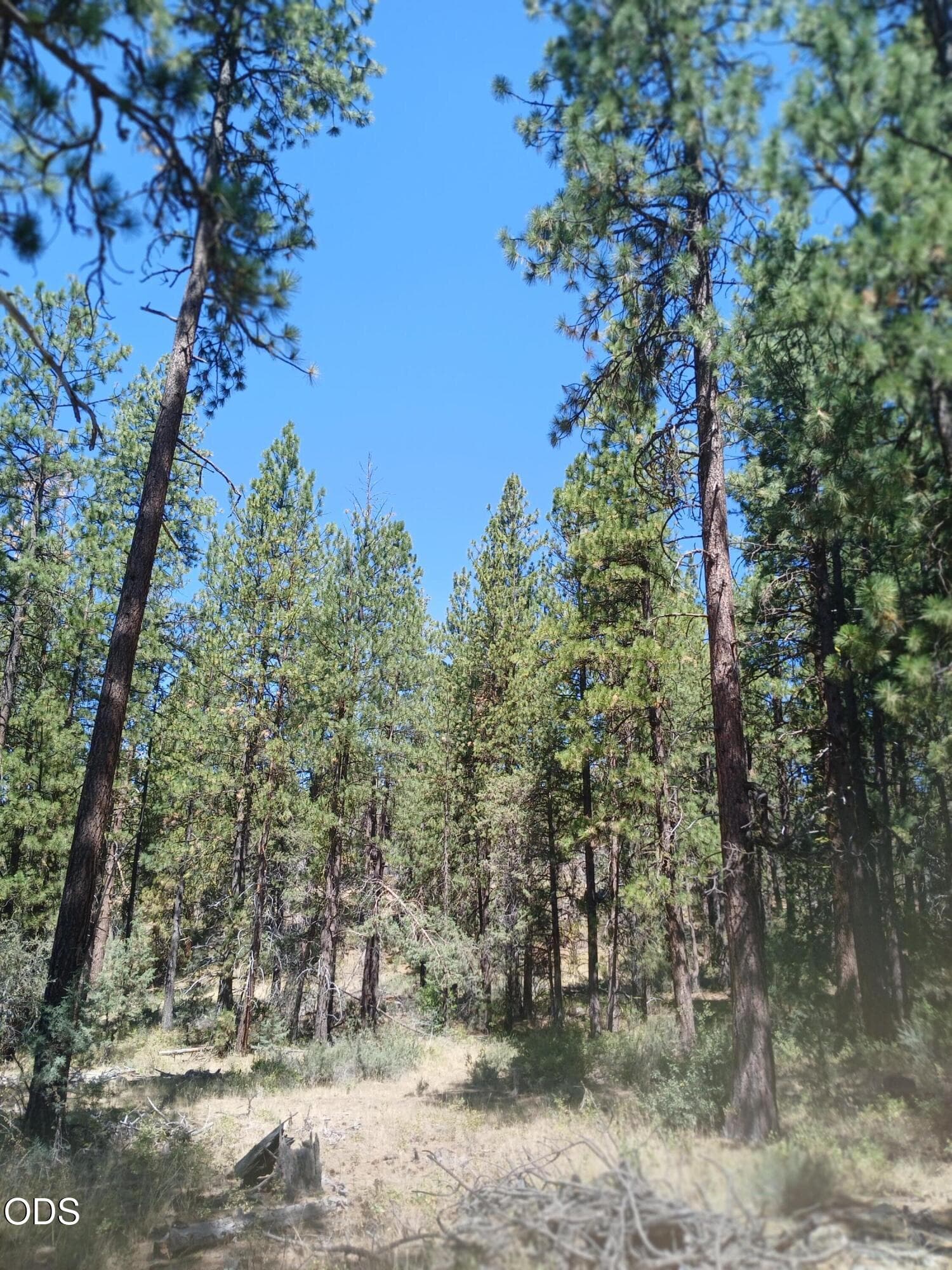 1. Photo 1 of 10, 0 Oriole Drive Unit Lot 12, Bonanza, OR 97623
