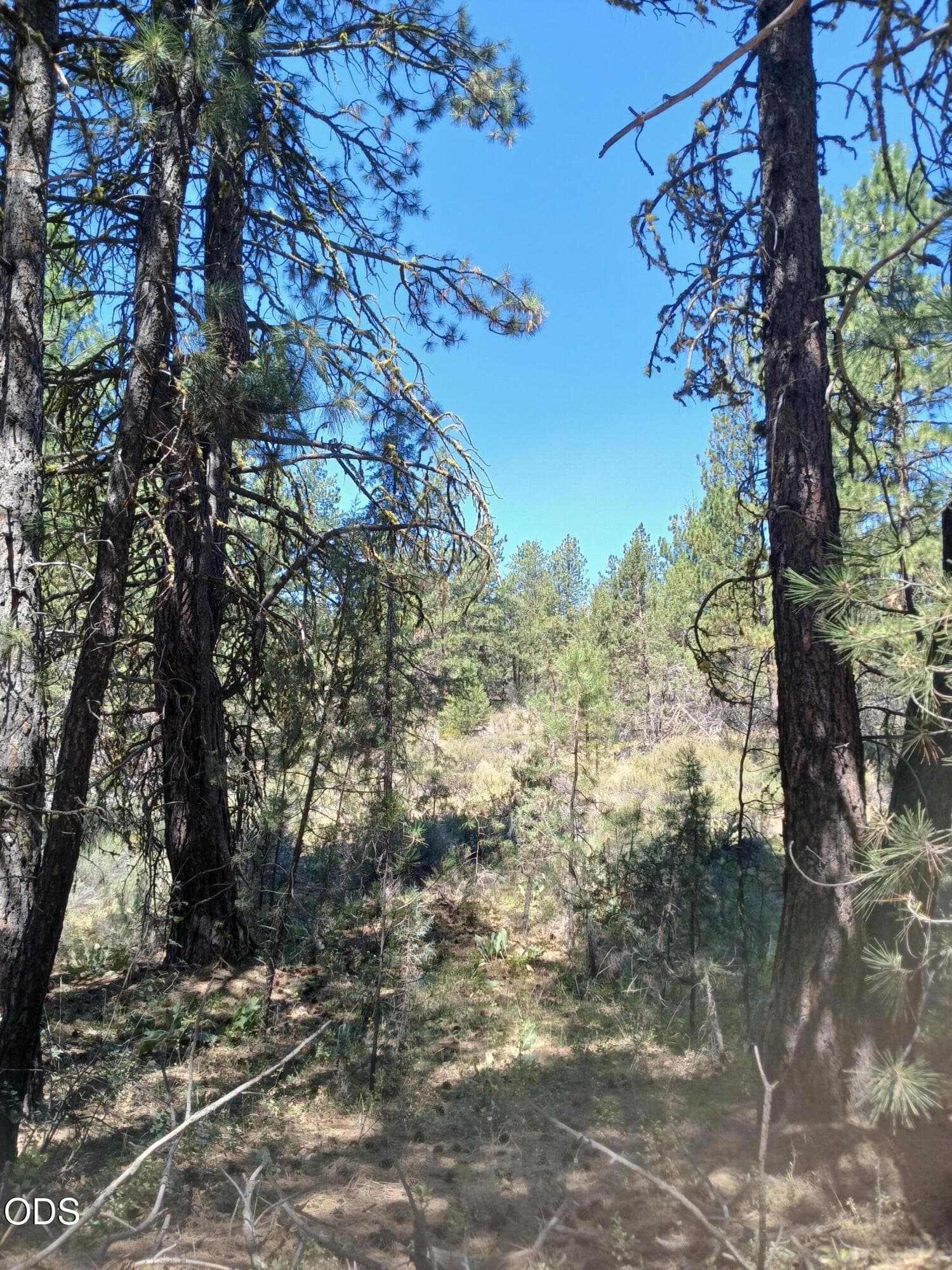 4. Photo 4 of 10, 0 Oriole Drive Unit Lot 12, Bonanza, OR 97623