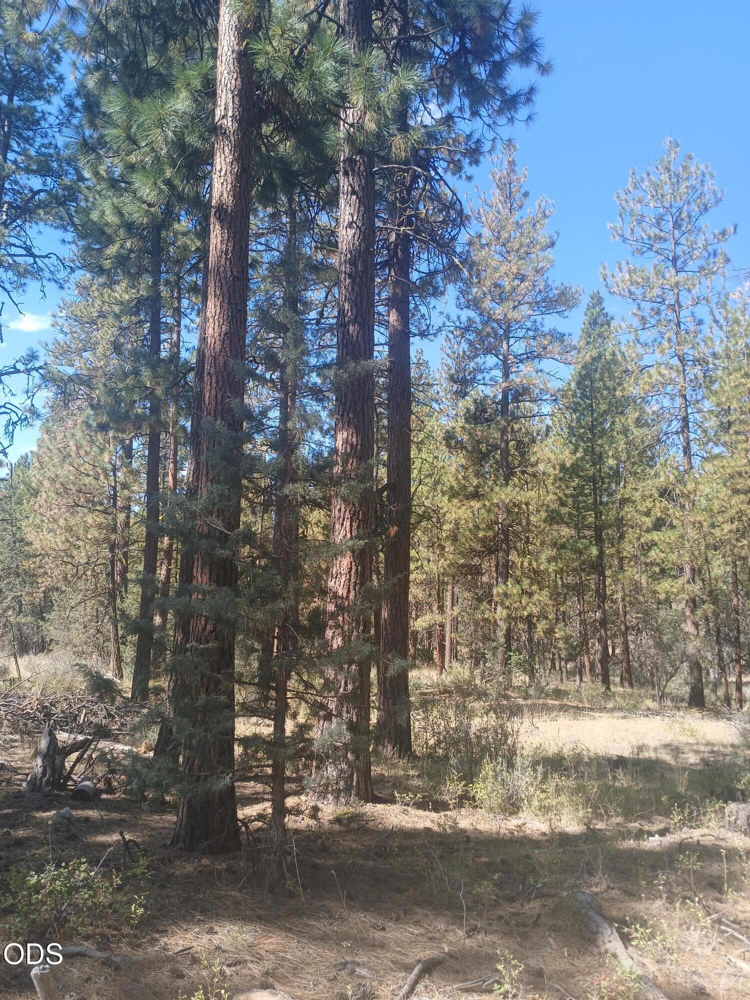 5. Photo 5 of 10, 0 Oriole Drive Unit Lot 12, Bonanza, OR 97623