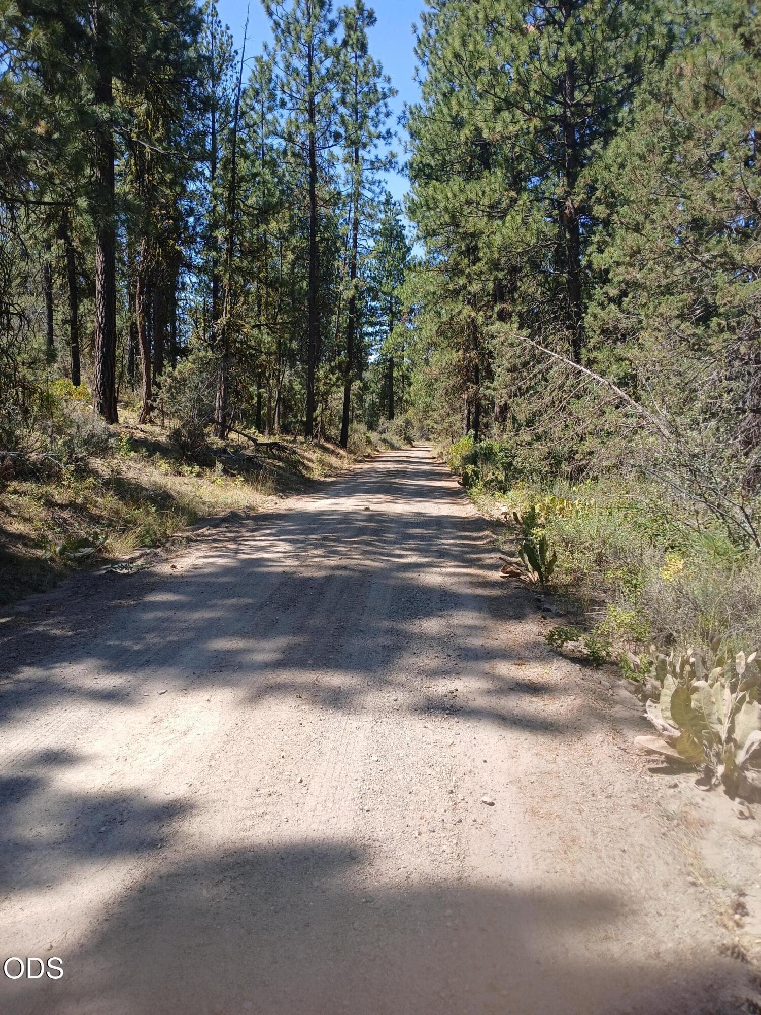 2. Photo 2 of 10, 0 Oriole Drive Unit Lot 13, Bonanza, OR 97623