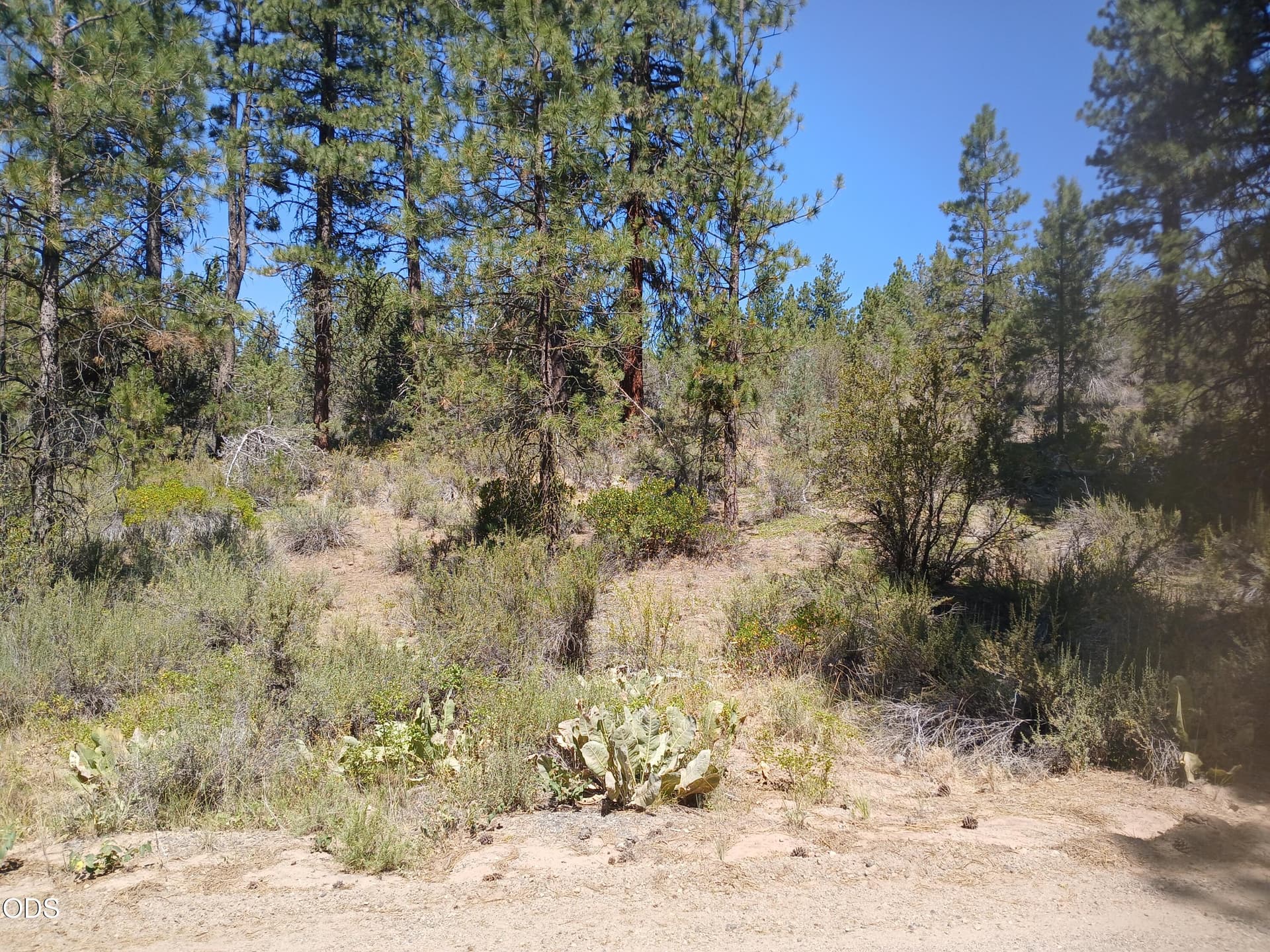 1. Photo 1 of 10, 0 Oriole Drive Unit Lot 13, Bonanza, OR 97623