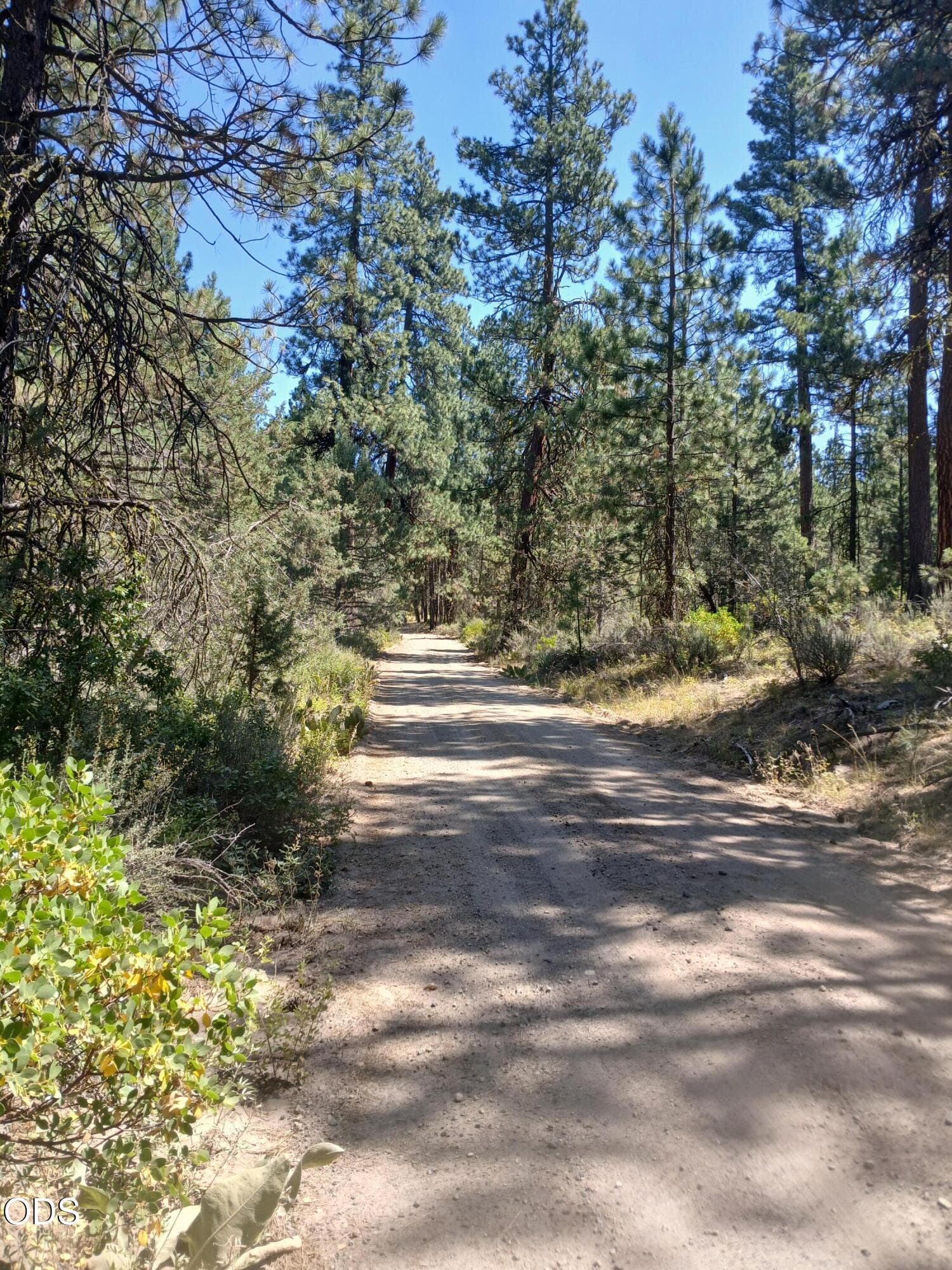 3. Photo 3 of 10, 0 Oriole Drive Unit Lot 13, Bonanza, OR 97623