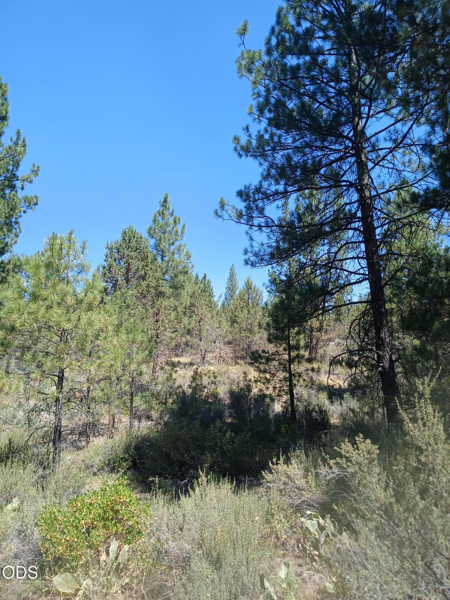 4. Photo 4 of 10, 0 Oriole Drive Unit Lot 13, Bonanza, OR 97623