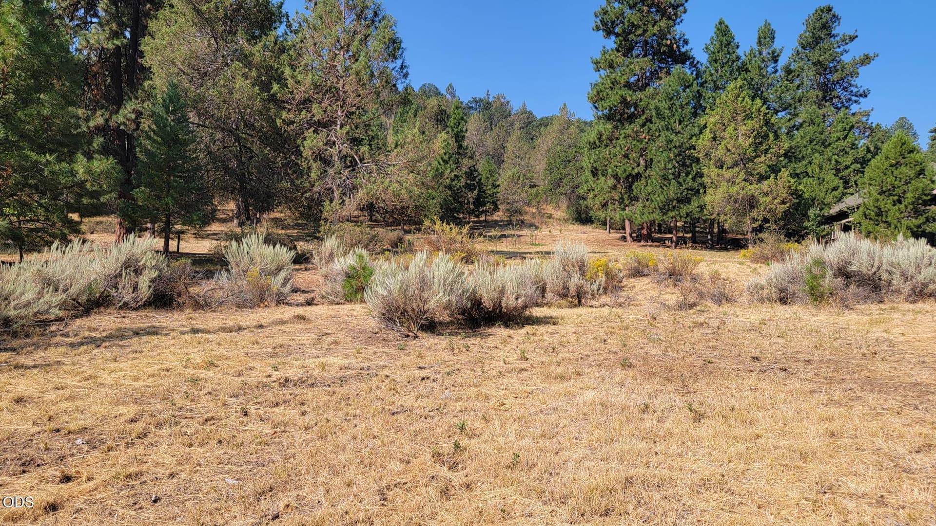 20260807_095231. Photo 3 of 7, 0 Murrelet Road Unit Lot 729, Klamath Falls, OR 97601