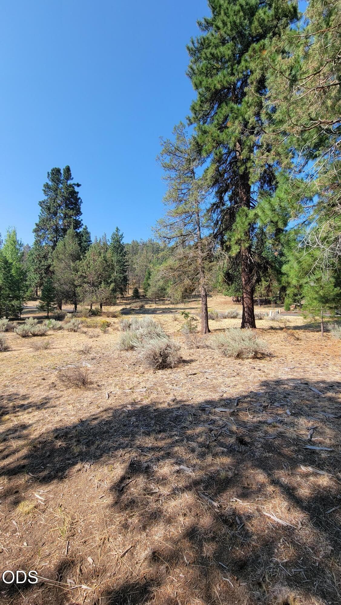 20260807_095326. Photo 4 of 7, 0 Murrelet Road Unit Lot 729, Klamath Falls, OR 97601