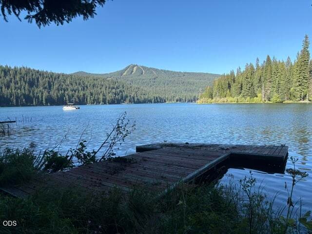 IMG_0332. Photo 2 of 19, 27428 W Odell Road Unit T4, Crescent Lake, OR 97733