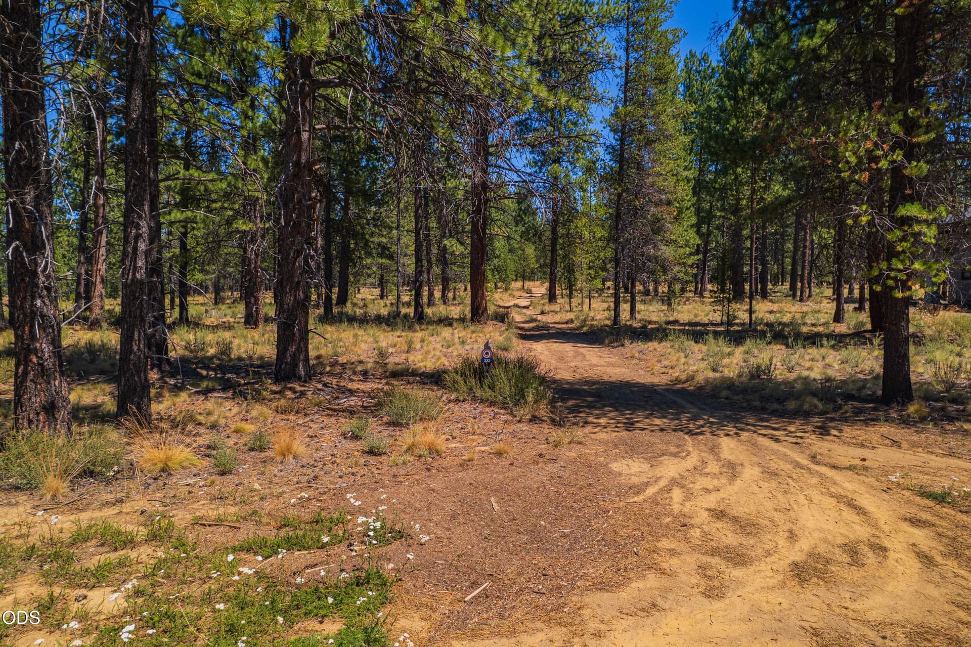 mirror-rock-loop-homesite. Photo 3 of 17, 56343 Mirror Rock Loop Unit 333, Bend, OR 97707