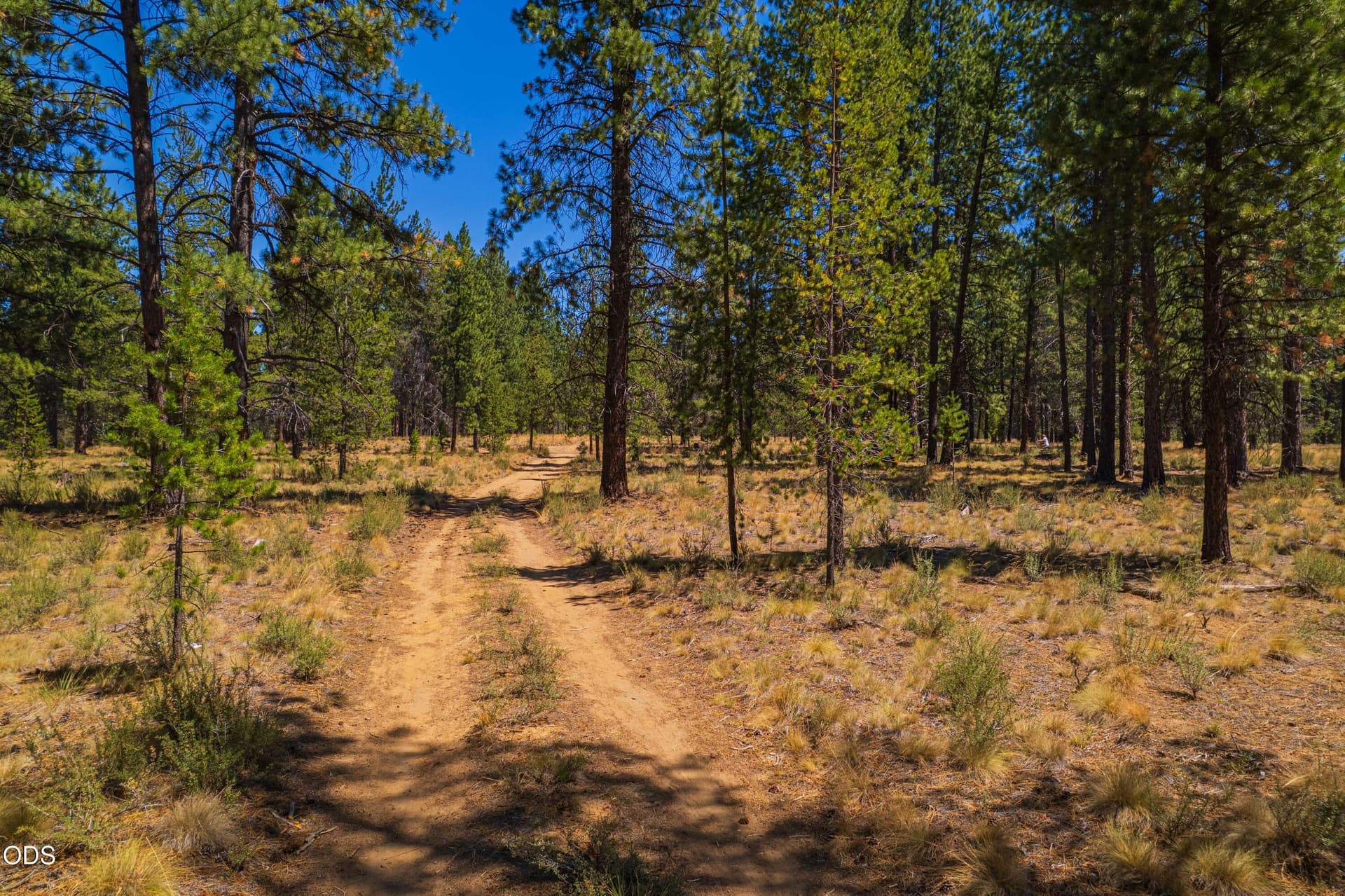 caldera-springs-build-site. Photo 4 of 17, 56343 Mirror Rock Loop Unit 333, Bend, OR 97707