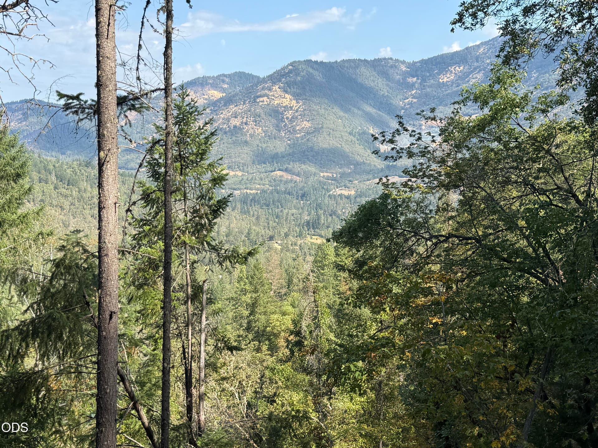 IMG_6093. Photo 2 of 16, 00 Savage Creek Road, Grants Pass, OR 97526