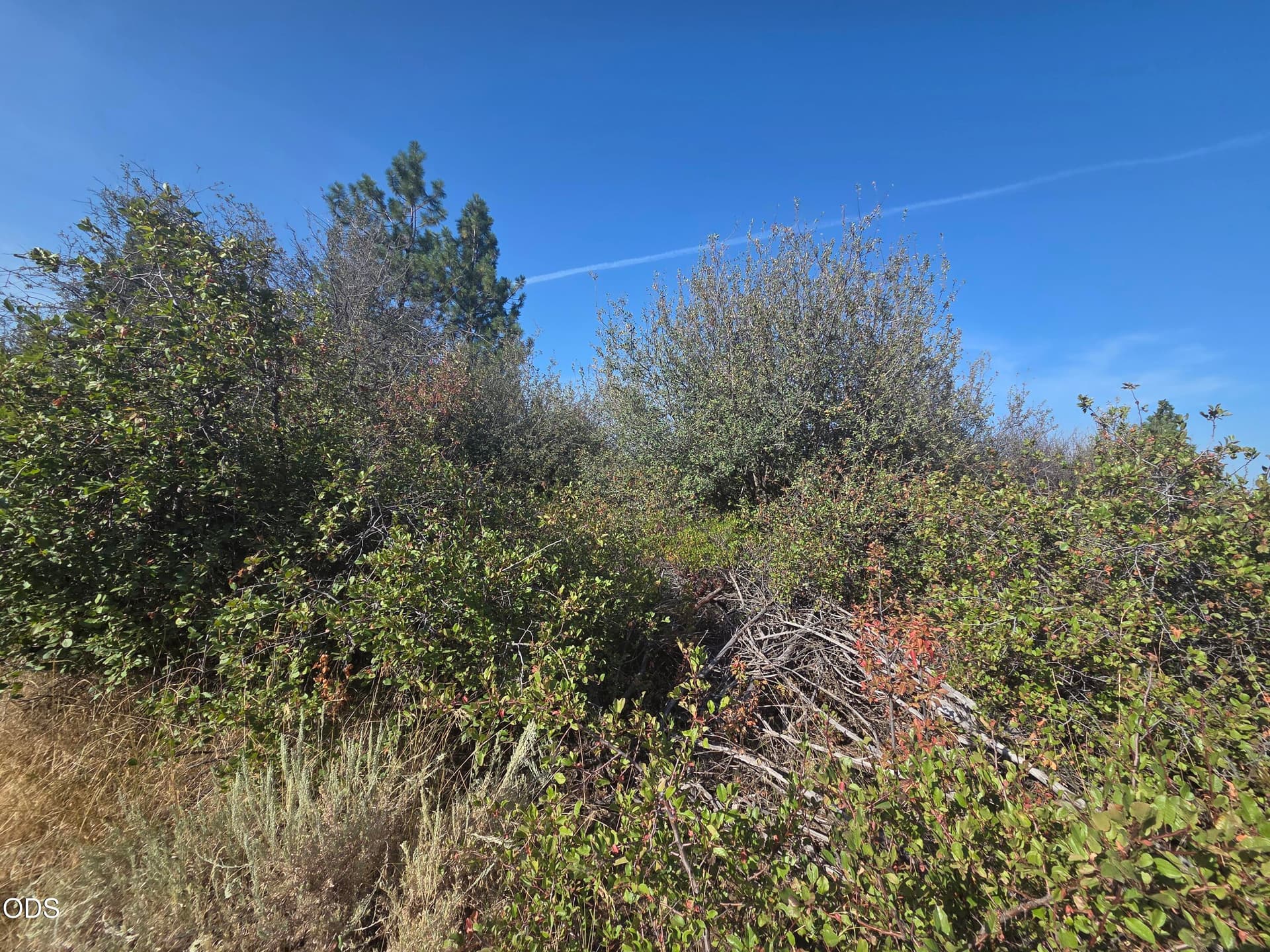 Lot. Photo 1 of 6, 0 Lakeland Road Unit Lot 24, Chiloquin, OR 97624