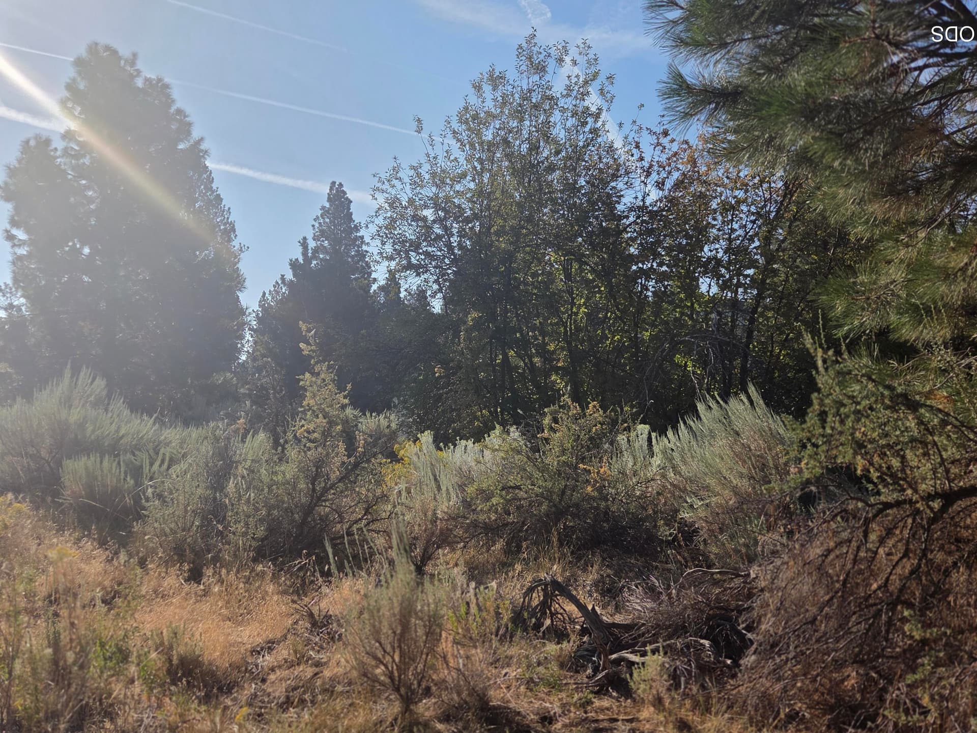 Lot. Photo 1 of 6, 0 Palouse Lane Unit Lot 5, Chiloquin, OR 97624