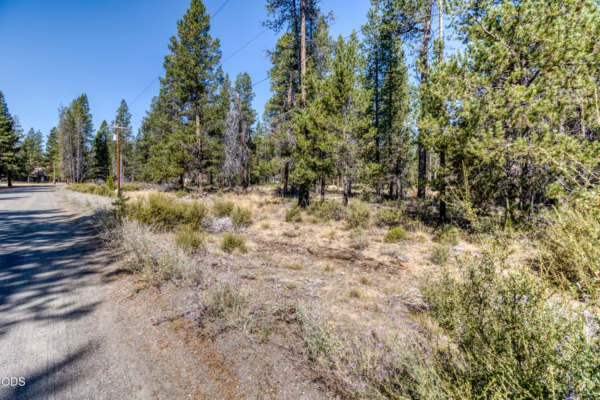 CREP0132. Photo 2 of 15, 16230 Green Forest Road, La Pine, OR 97739