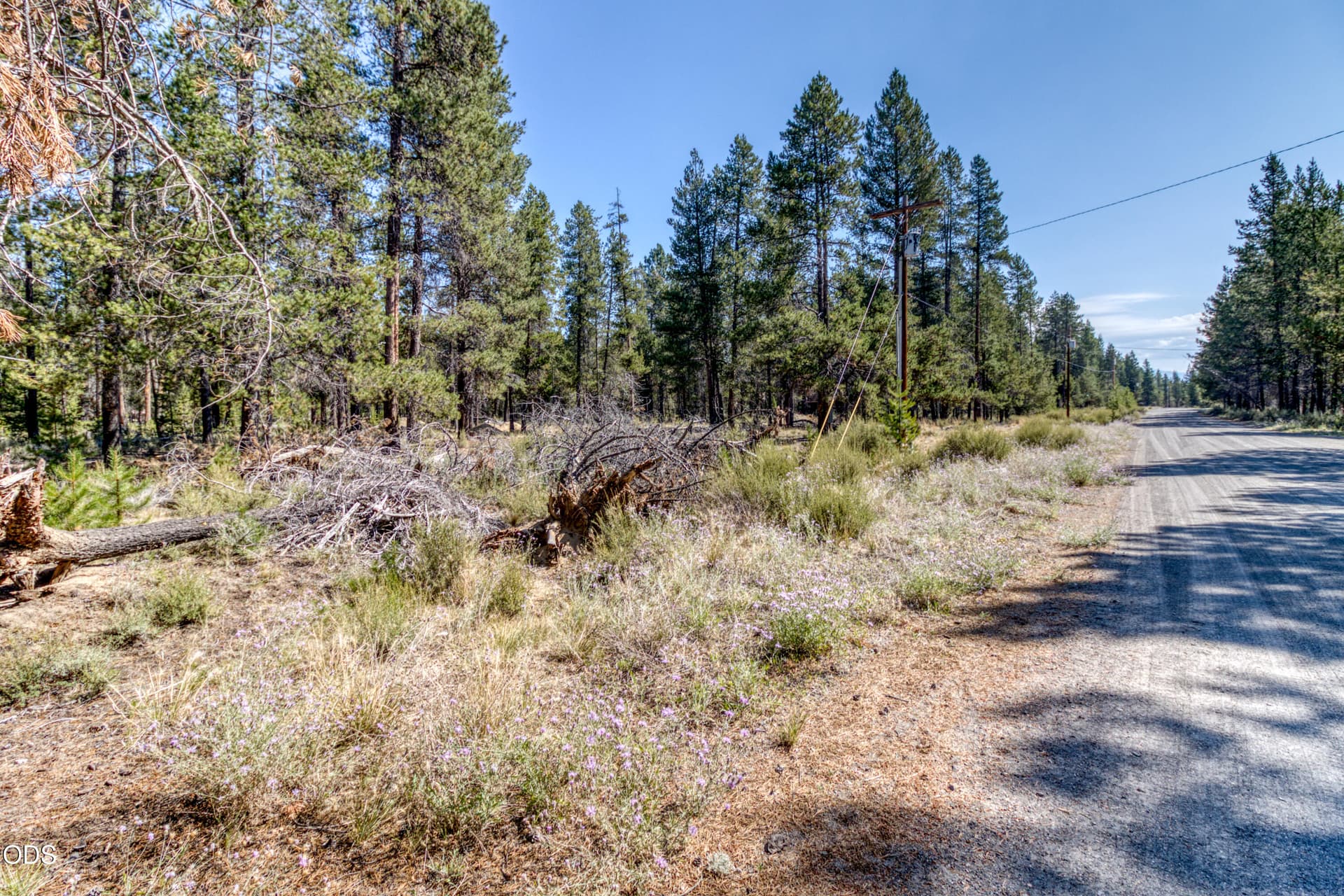 CREP0103. Photo 5 of 15, 16230 Green Forest Road, La Pine, OR 97739