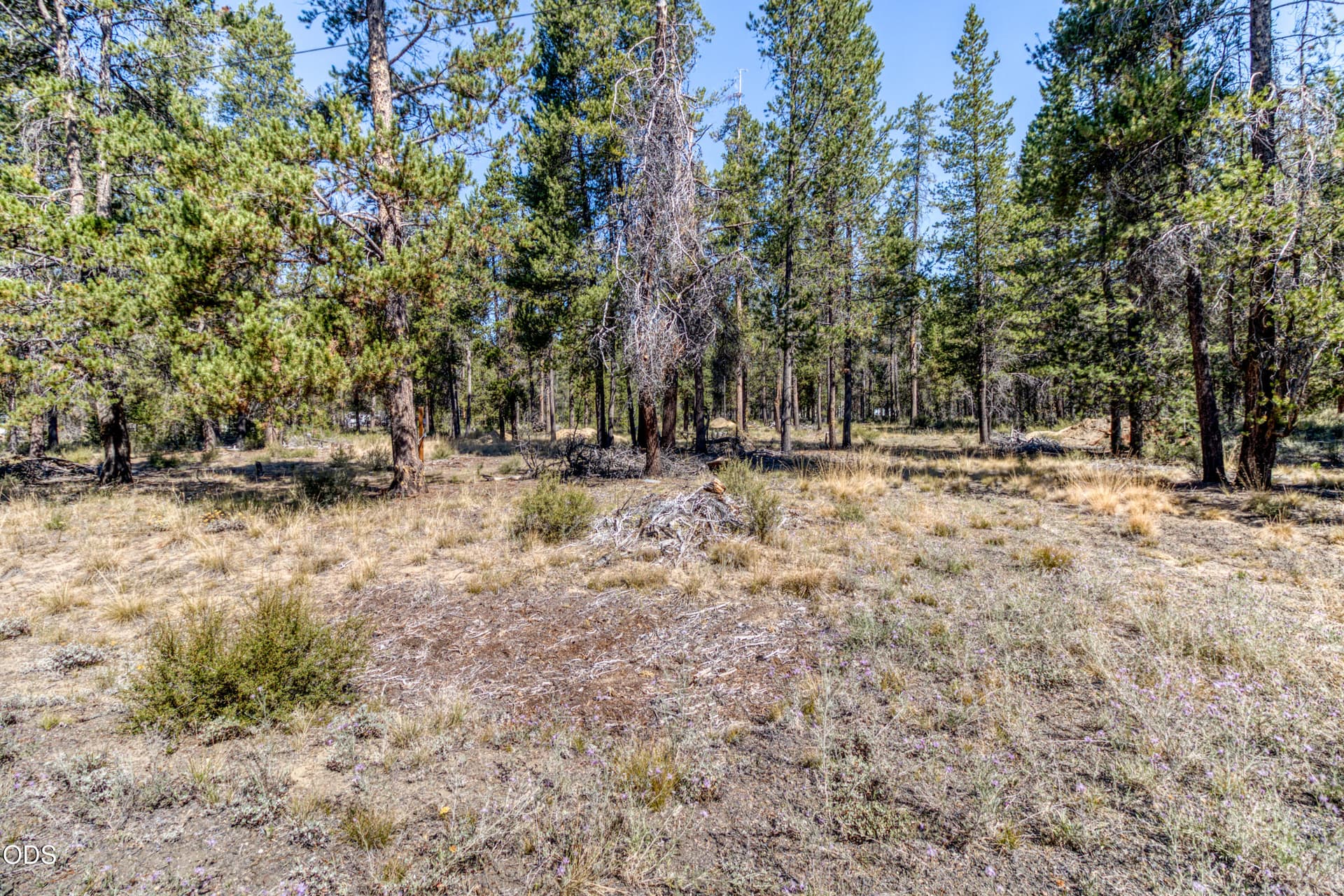 CREP0117. Photo 2 of 15, 16230 Green Forest Road, La Pine, OR 97739