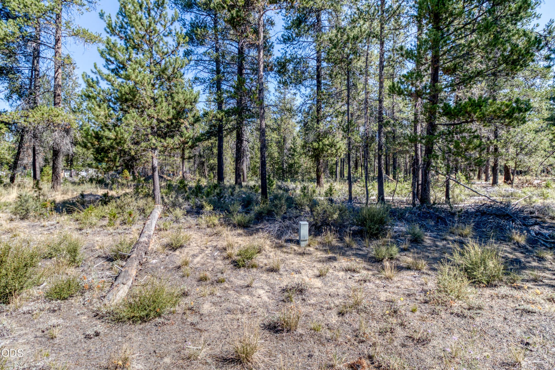 CREP0092. Photo 5 of 15, 16230 Green Forest Road, La Pine, OR 97739