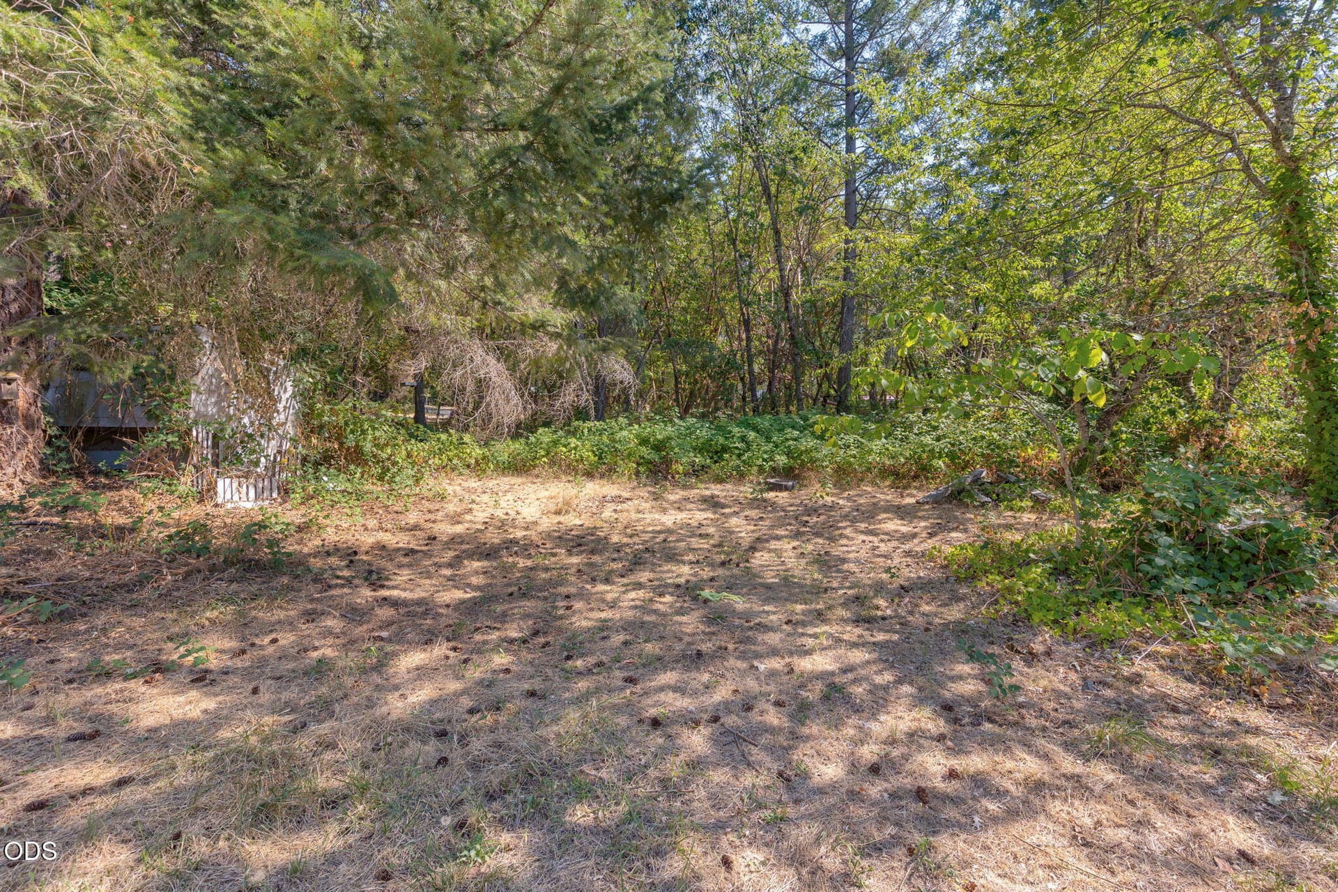 Back Yard. Photo 5 of 39, 7079 Rogue River Highway, Rogue River, OR 97537