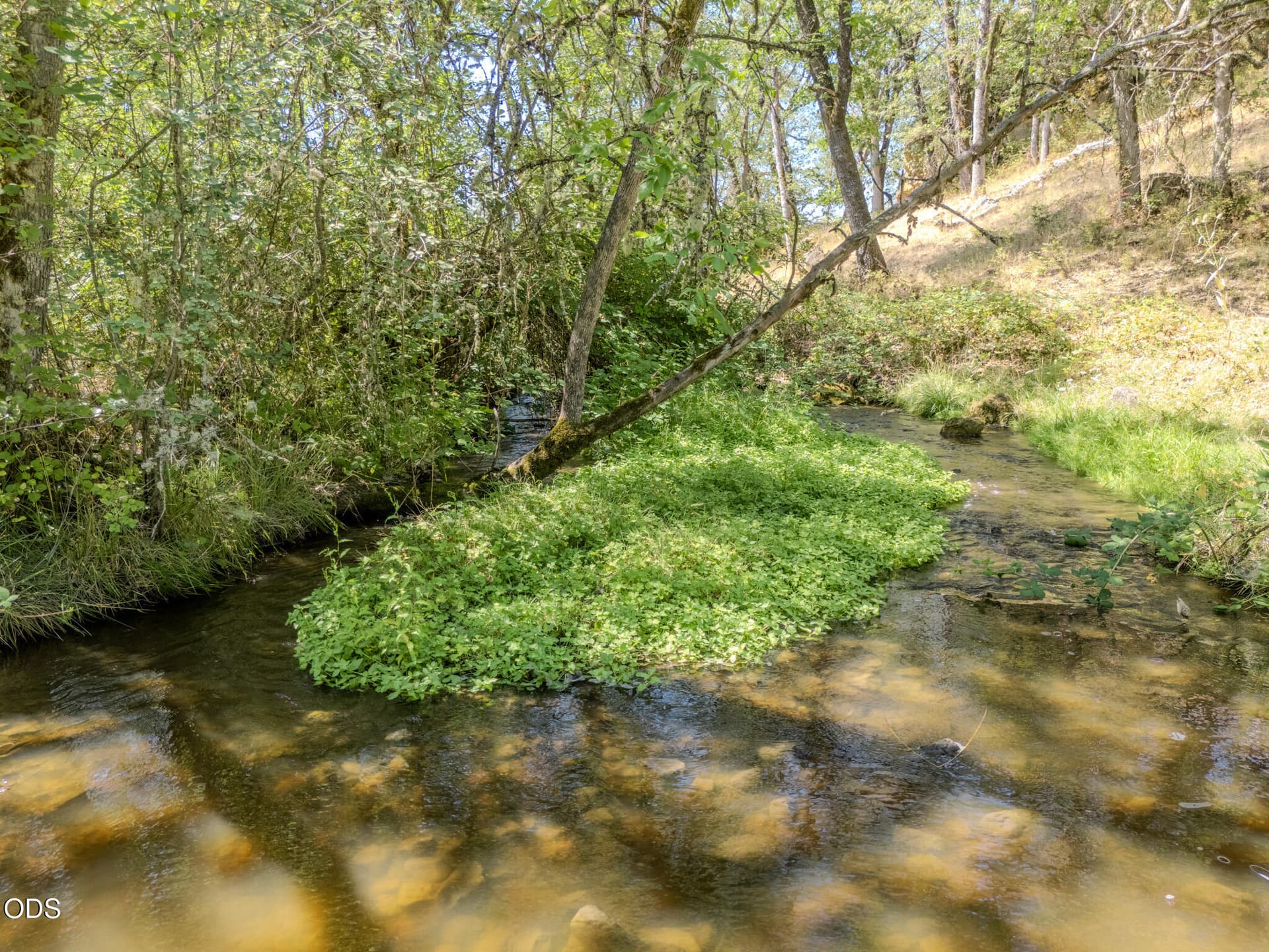 DJI_20260814025545_0190_D-HDR. Photo 5 of 56, 688 Worthington Road, Eagle Point, OR 97524