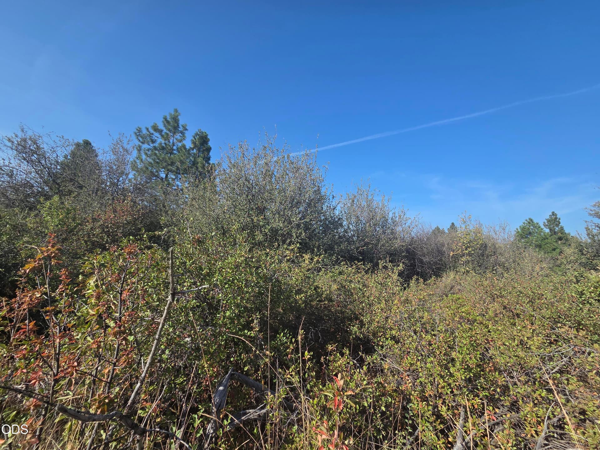 Lot. Photo 3 of 6, 0 Lakeland Road Unit Lot 24, Chiloquin, OR 97624