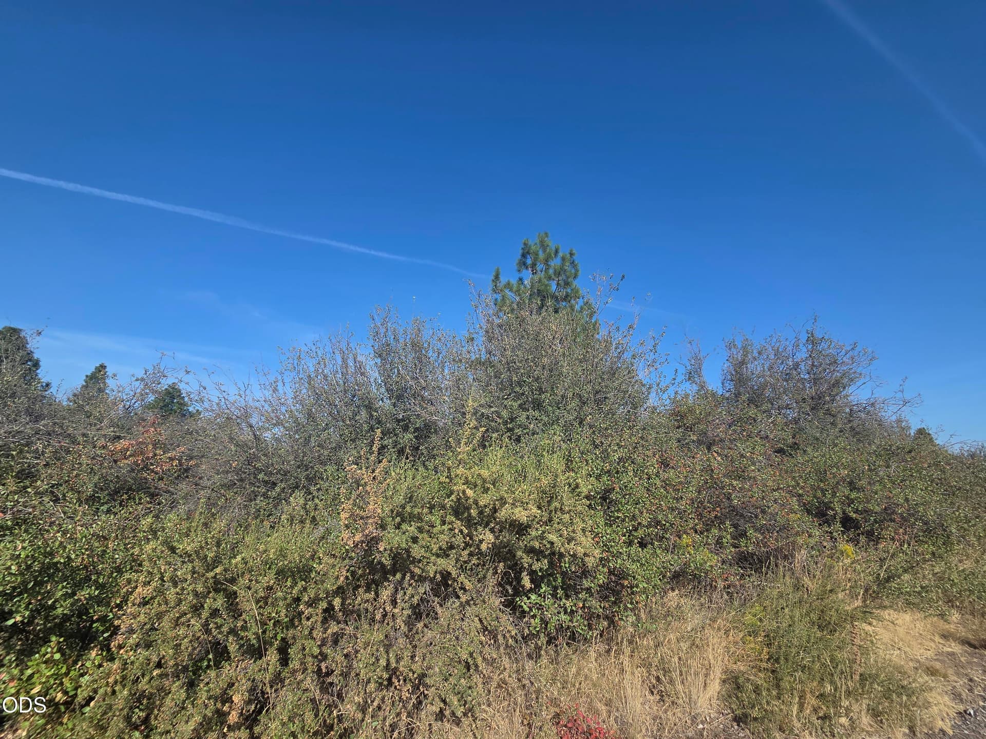 Lot. Photo 4 of 6, 0 Lakeland Road Unit Lot 24, Chiloquin, OR 97624