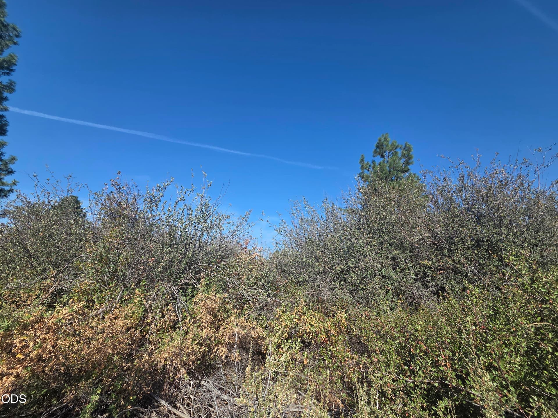 Lot. Photo 5 of 6, 0 Lakeland Road Unit Lot 24, Chiloquin, OR 97624