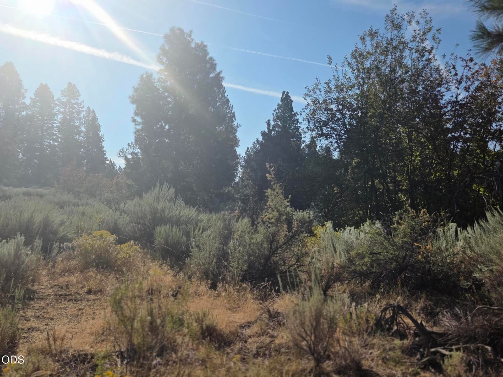 Lot. Photo 5 of 6, 0 Palouse Lane Unit Lot 5, Chiloquin, OR 97624
