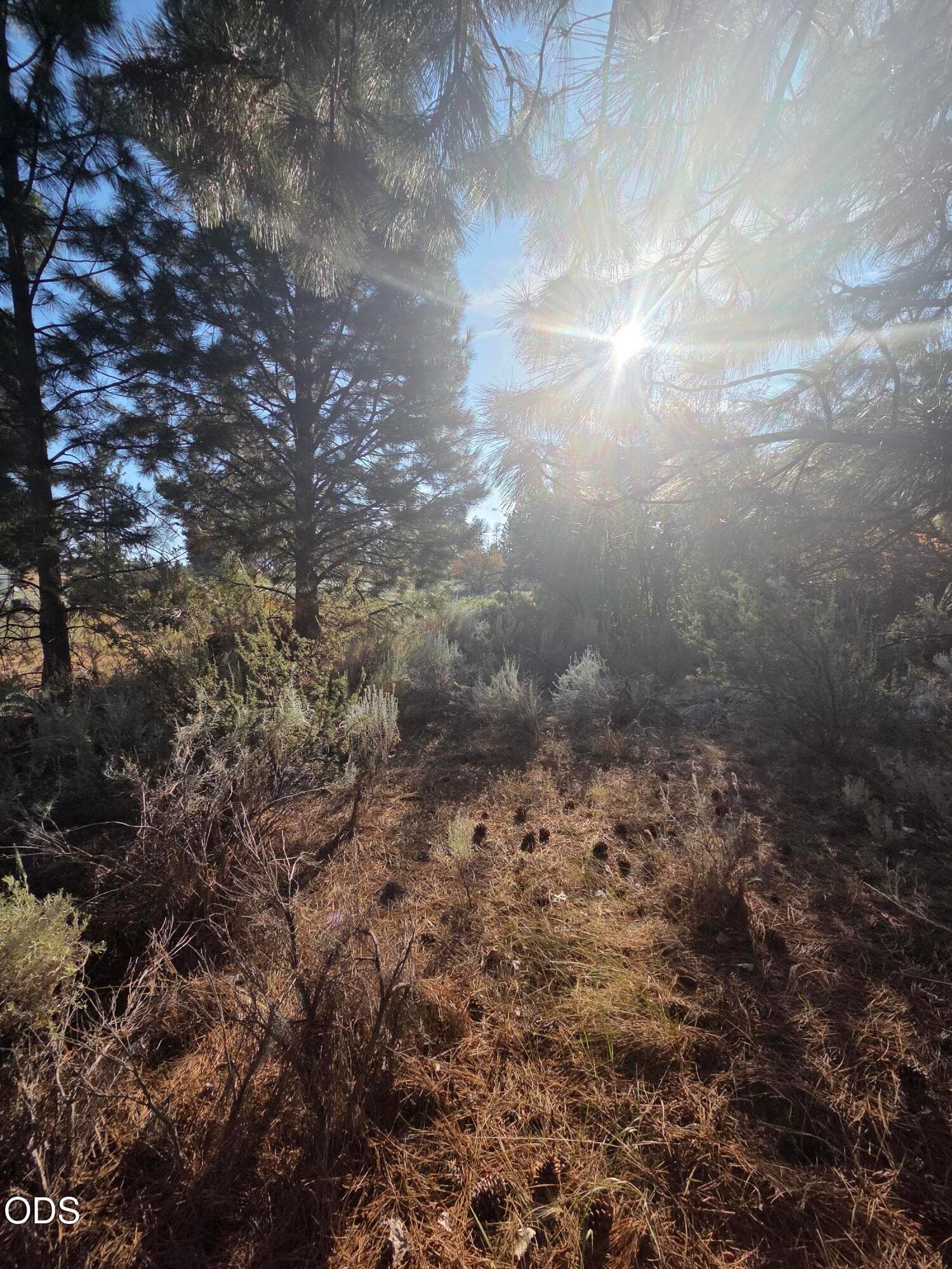 Lot. Photo 3 of 6, 0 Palouse Lane Unit Lot 5, Chiloquin, OR 97624