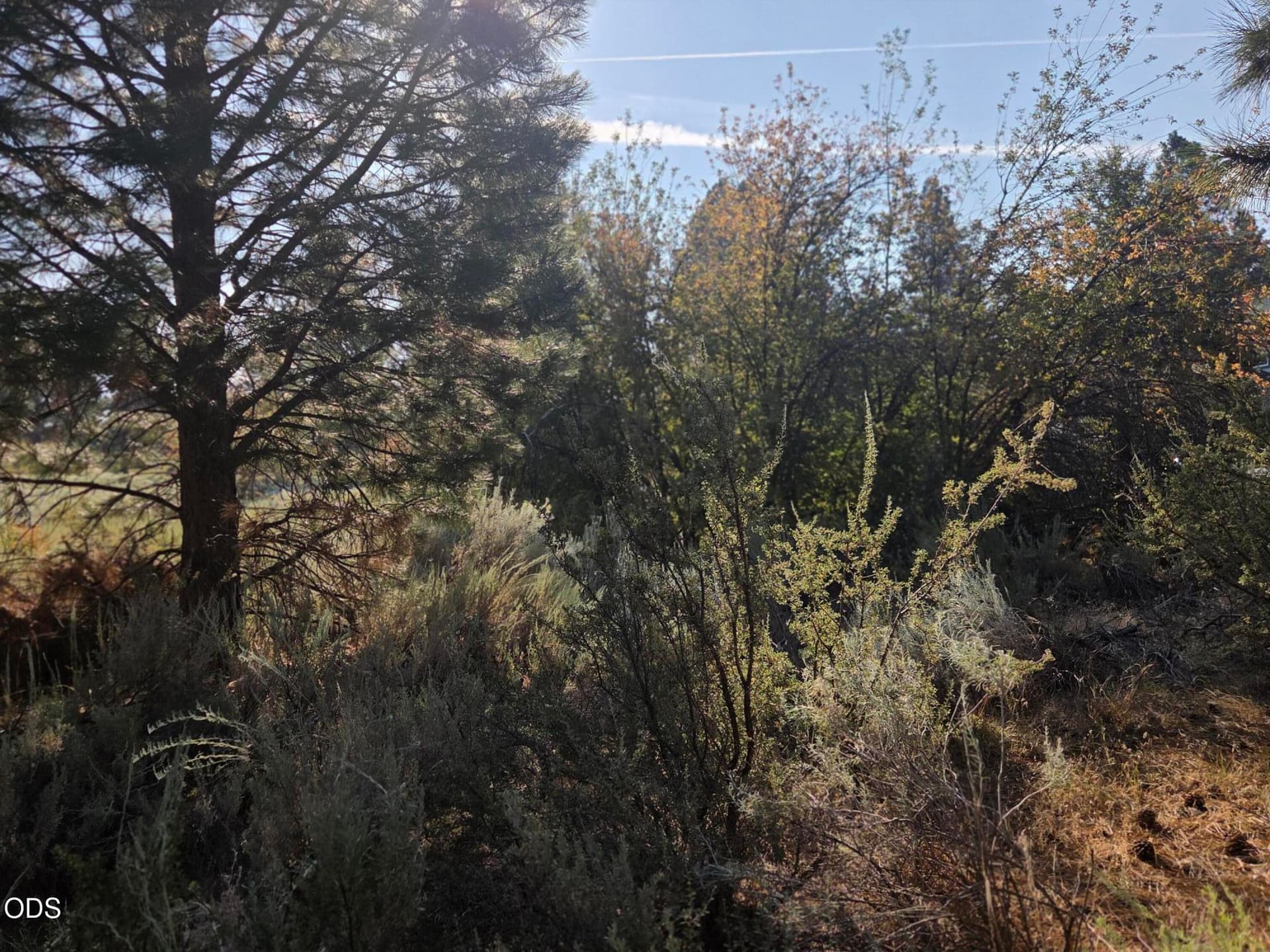 Lot. Photo 4 of 6, 0 Palouse Lane Unit Lot 5, Chiloquin, OR 97624