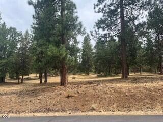 Lot 104 1. Photo 2 of 4, 0 Merganser Road Unit Lot 104, Klamath Falls, OR 97601