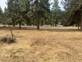 Lot 104 2. Photo 3 of 4, 0 Merganser Road Unit Lot 104, Klamath Falls, OR 97601
