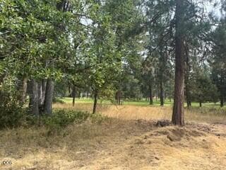 Lot 104 4. Photo 4 of 4, 0 Merganser Road Unit Lot 104, Klamath Falls, OR 97601