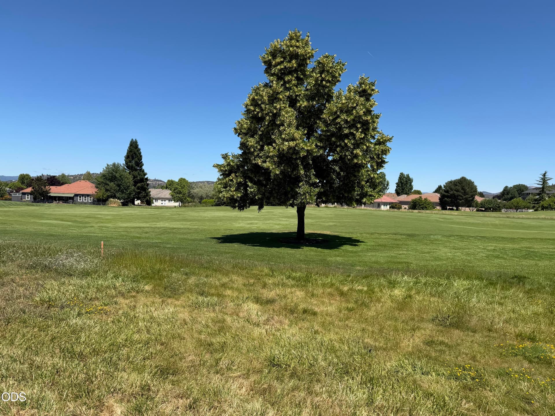 IMG_1723. Photo 5 of 6, Robert Trent Jones Boulevard Unit 1, Eagle Point, OR 97524