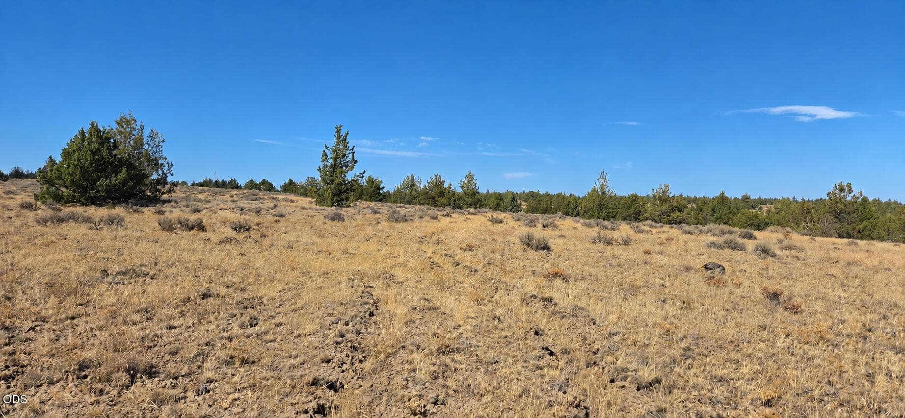 ChatGPT Image Aug 19, 2026, 04_39_04 PM. Photo 5 of 12, SE Iowa Road, Prineville, OR 97754