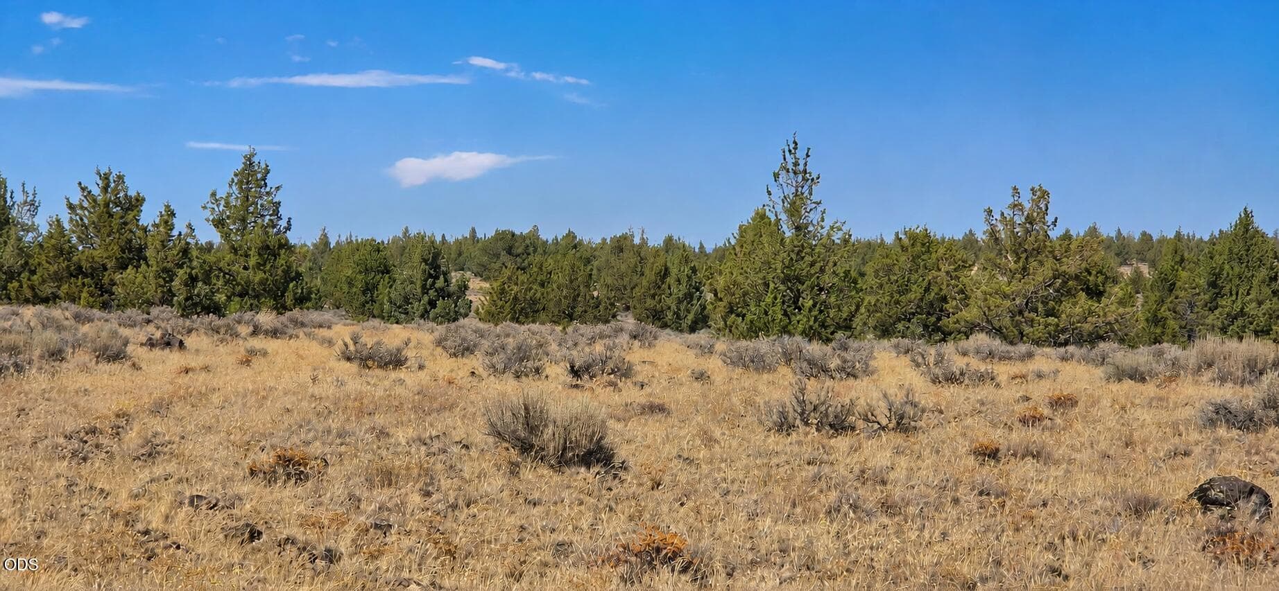 ChatGPT Image Aug 19, 2026, 04_39_02 PM. Photo 4 of 12, SE Iowa Road, Prineville, OR 97754