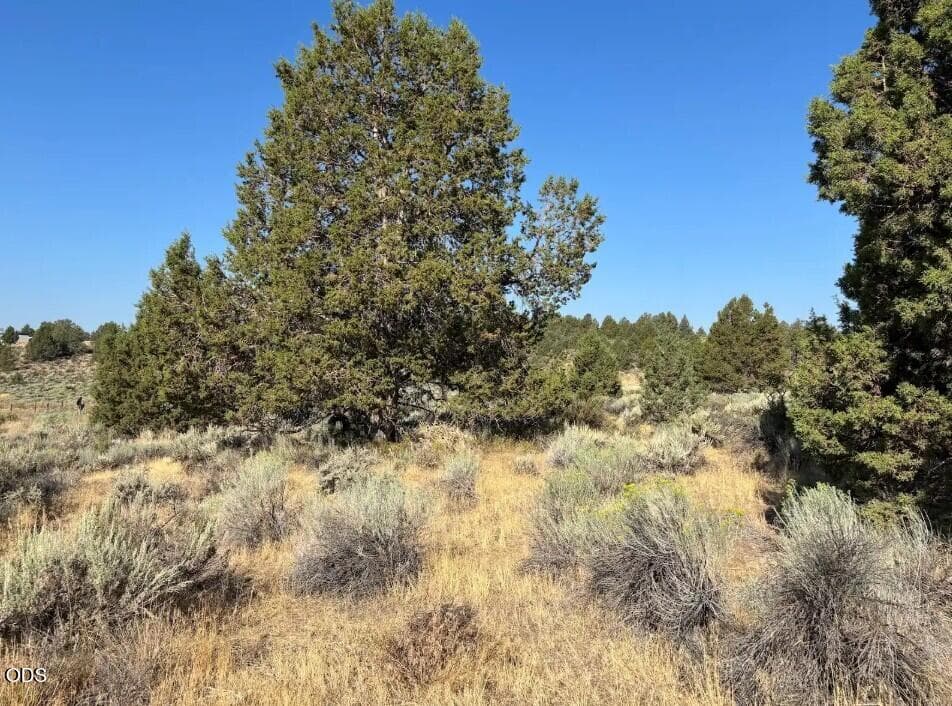 2. Photo 2 of 4, Josephine Street Unit Lot 39, Sprague River, OR 97639
