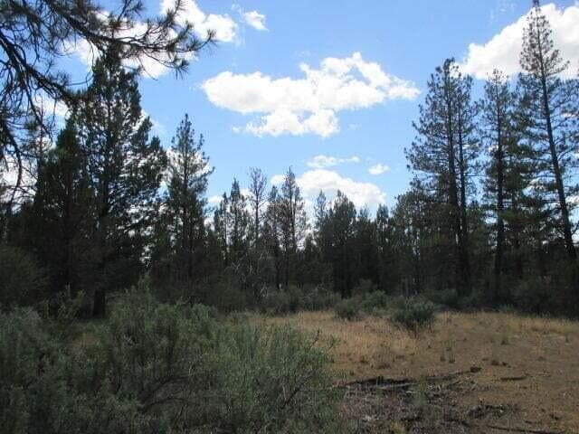 20231212032309633349000000-o. Photo 1 of 2, Tepee Lane Unit 10, Sprague River, OR 97639