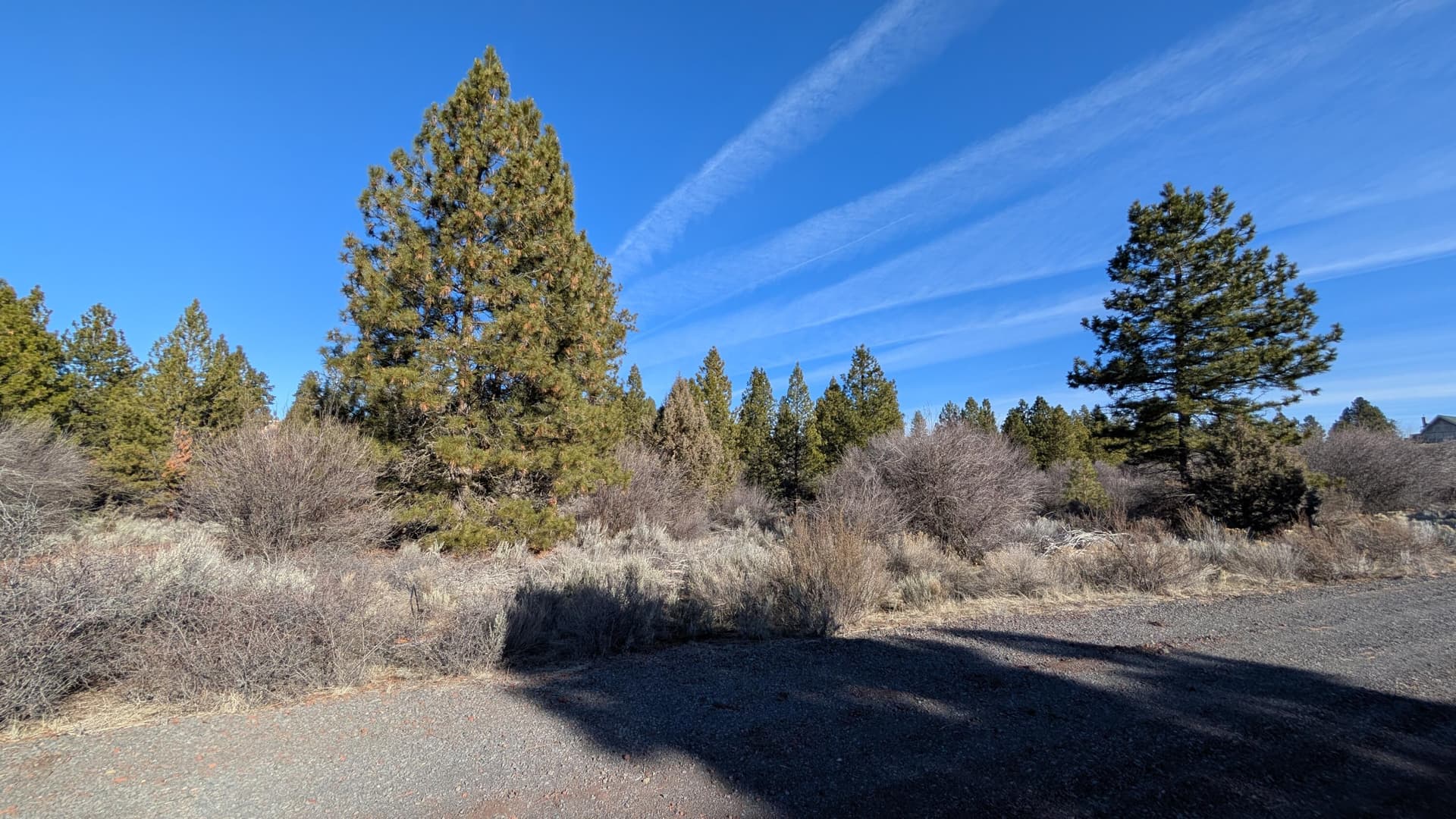 1000003111. Photo 2 of 6, 00 Treeland Court Unit 1, Chiloquin, OR 97624